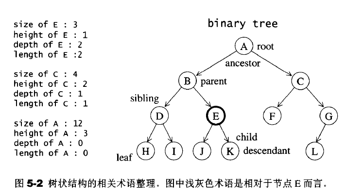 树结构的相关术语整理